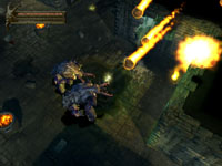 Baldur's Gate: Dark Alliance Screenshot