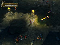 Baldur's Gate: Dark Alliance Screenshot