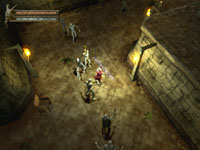 Baldur's Gate: Dark Alliance Screenshot