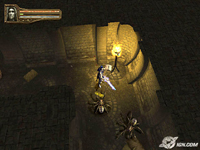 Baldur's Gate: Dark Alliance II Screenshot