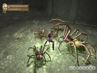 Baldur's Gate: Dark Alliance II Screenshot