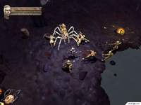 Baldur's Gate: Dark Alliance II Screenshot