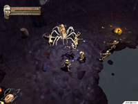 Baldur's Gate: Dark Alliance II Screenshot