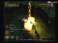 Baldur's Gate: Dark Alliance II Screenshot