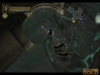 Baldur's Gate: Dark Alliance II Screenshot