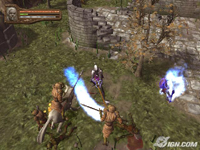 Baldur's Gate: Dark Alliance II Screenshot