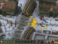 Icewind Dale II Screenshot