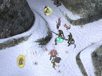 Icewind Dale II Screenshot