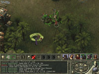 Icewind Dale II Screenshot