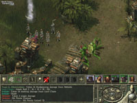 Icewind Dale II Screenshot